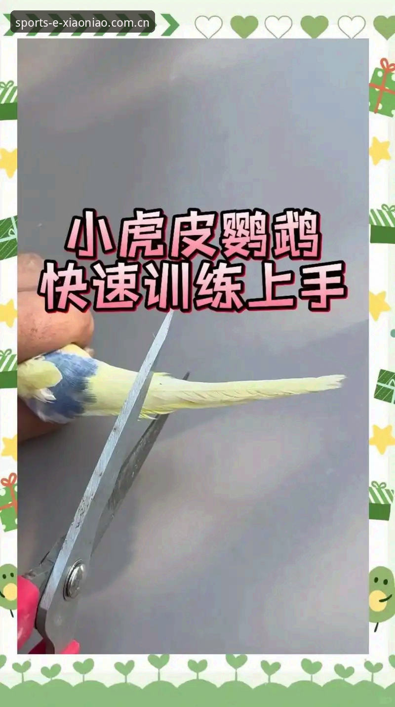 小鸟体育使用教程iOS版 7个步骤掌握小鸟体育使用教程iOS版,从下载到畅玩的完整指南