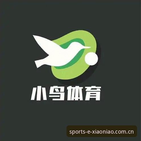 小鸟体育官网登录 vs 小鸟体育app下载：哪个更适合你的互动体验？